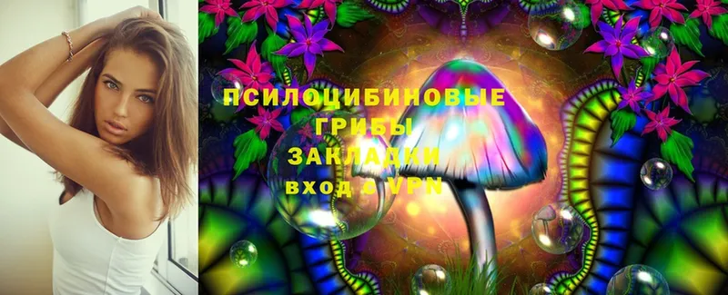 цены   Балей  Галлюциногенные грибы MAGIC MUSHROOMS 